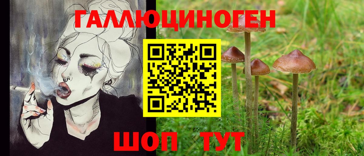 Бугуруслан  Галлюциногенные грибы Psilocybine cubensis  Галлюциногенные грибы MAGIC MUSHROOMS  Вход с VPN 
